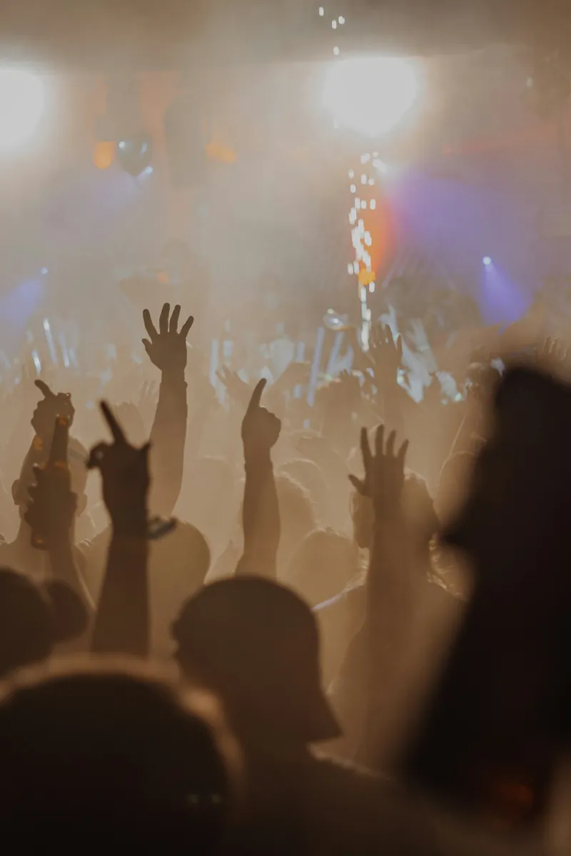Sfeerbeeld: publiek met handen in de lucht voor een festivalpodium