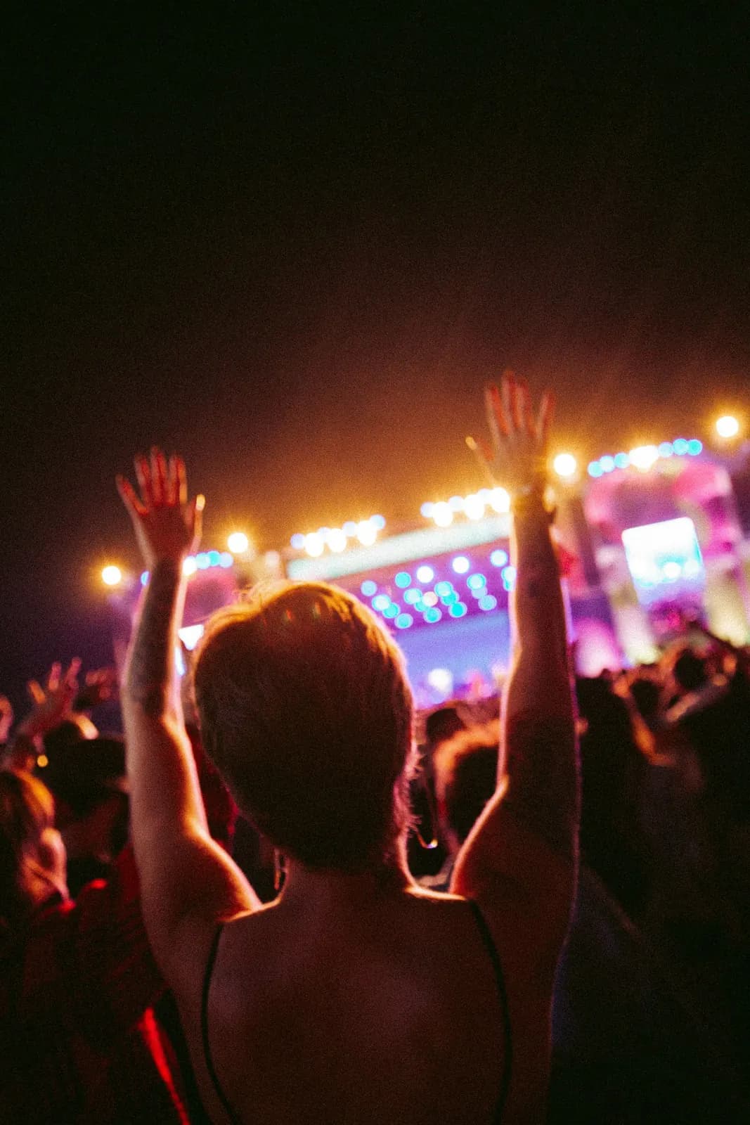 Sfeerbeeld: festivalpubliek met handen in de lucht bij een avondpodium